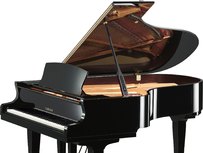 Yamaha S5X