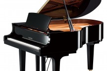 Yamaha C2X