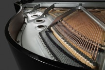 Yamaha C2X Chrome