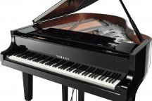 Yamaha C2X Chrome