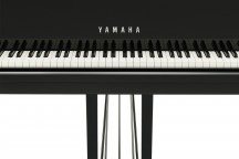 Yamaha C2X Chrome