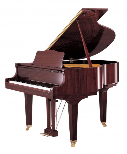 Yamaha GB1