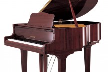 Yamaha GB1