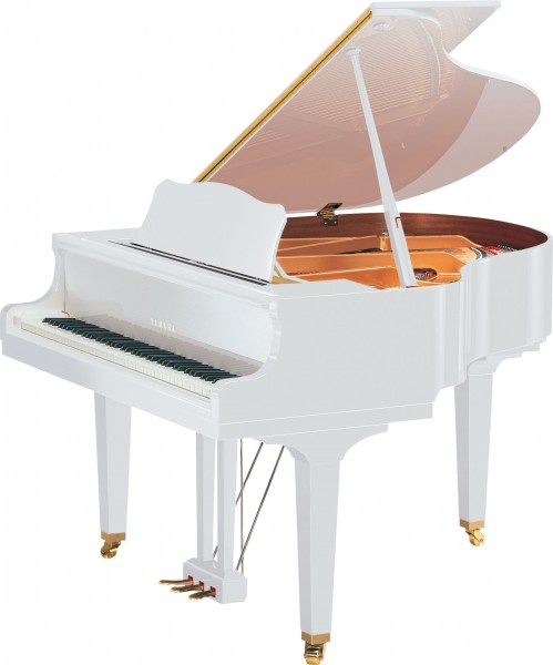 Yamaha GB1