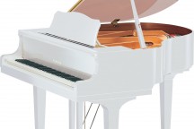 Yamaha GB1