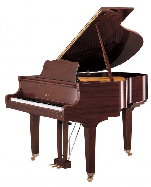 Yamaha GB1