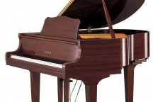 Yamaha GB1