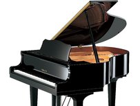 Yamaha GB1