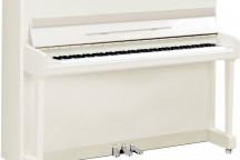 Yamaha P116