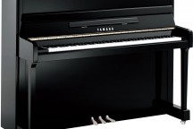 Yamaha P116