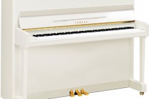 Yamaha P116