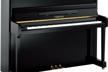 Yamaha P116