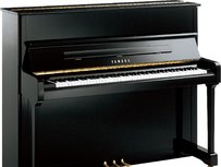 Yamaha P121