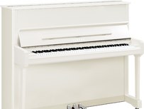 Yamaha P121
