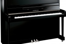 Yamaha b3