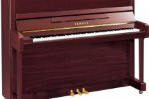 Yamaha b3