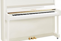 Yamaha b3