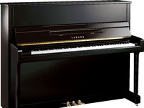 Yamaha b3