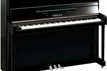 Yamaha b2