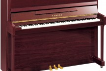 Yamaha b2