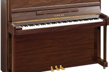 Yamaha b2