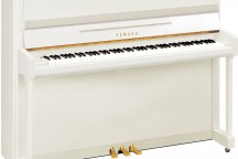 Yamaha b2