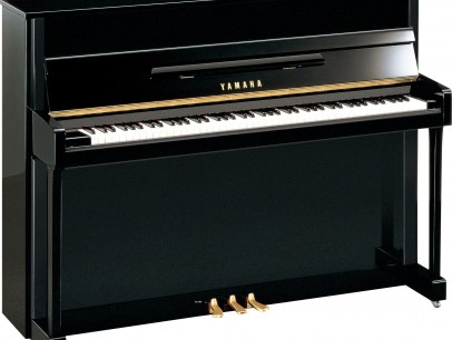 Yamaha b2