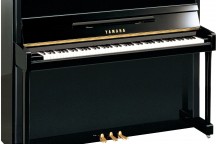Yamaha b2