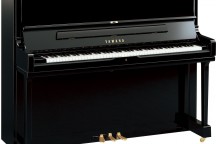 Yamaha YUS1