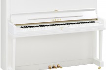 Yamaha YUS1
