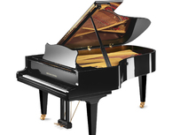 Grotrian-Steinweg G 208