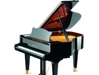 Grotrian-Steinweg G 165