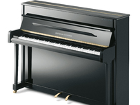 Grotrian-Steinweg G 118
