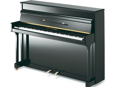 Grotrian-Steinweg G 113