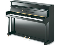 Grotrian-Steinweg G 113