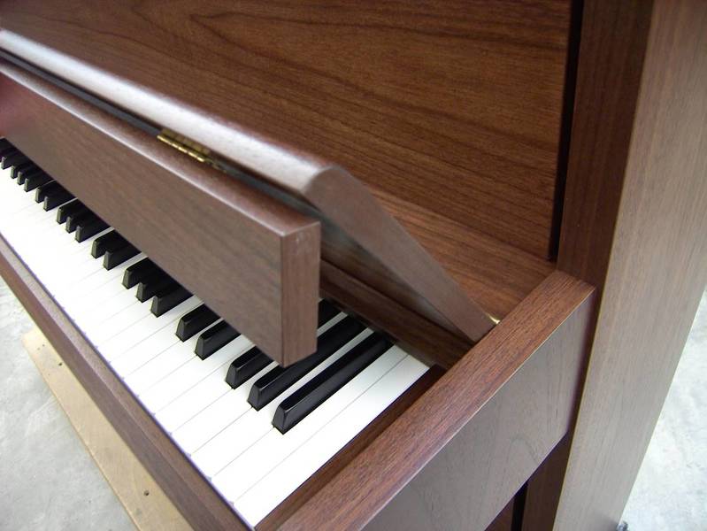 Grotrian-Steinweg G 113