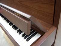 Grotrian-Steinweg G 113