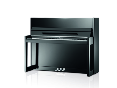 Schimmel C 116 Modern Cubus