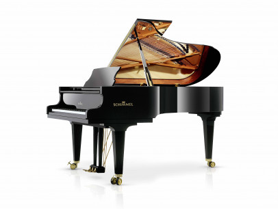 Schimmel K 219 Tradition