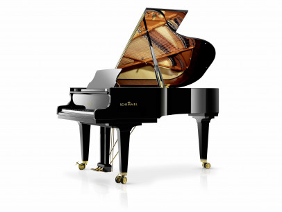 Schimmel K 195 Tradition