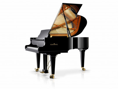 Schimmel K 175 Tradition