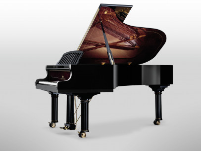 Schimmel K 175 Edition Nikolaus Wilhelm Schimmel