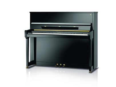 Schimmel F 123 Tradition