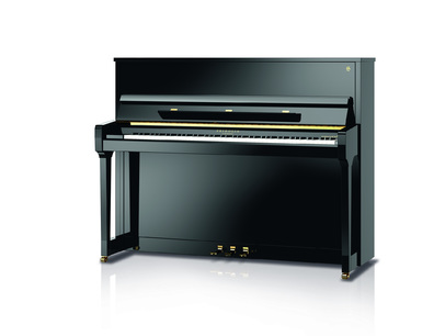 Schimmel F 116 Tradition