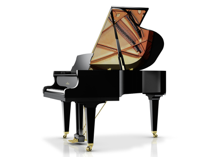 Schimmel C 169 Tradition
