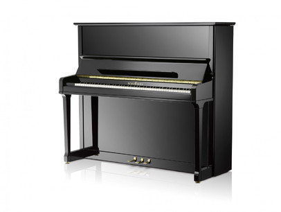 Schimmel K 132 Tradition