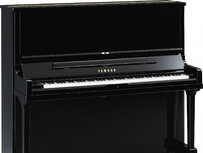 Yamaha SE132 – SH2 Silent