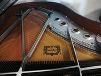 Yamaha C2X Chrome – SH2 Silent von 2016 in Schwarz poliert