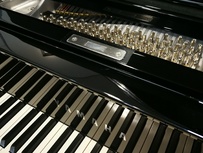 Yamaha C2X Chrome – SH2 Silent von 2016 in Schwarz poliert
