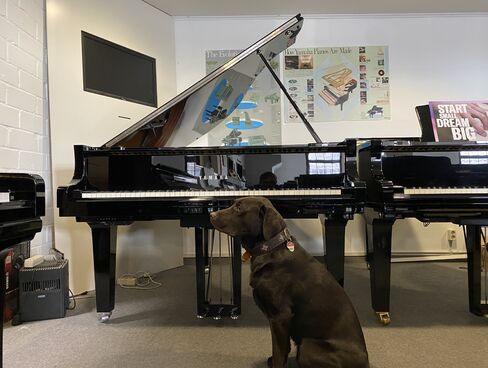 Yamaha C2X Chrome – SH2 Silent von 2016 in Schwarz poliert